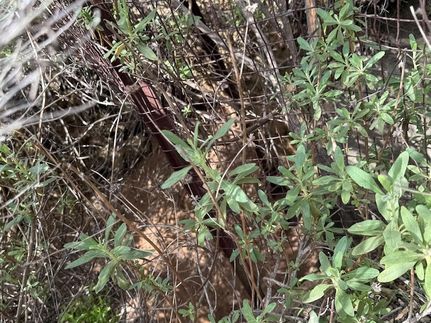 Property for sale in San Diego County, California