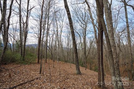 Property for sale in McDowell County, North Carolina