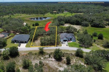 Undeveloped Land for sale in Pasco County, Florida