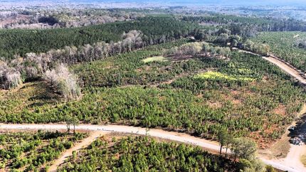 Hunting Land for sale in Bullock County, Alabama