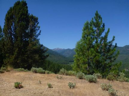 Property for sale in Siskiyou County, California
