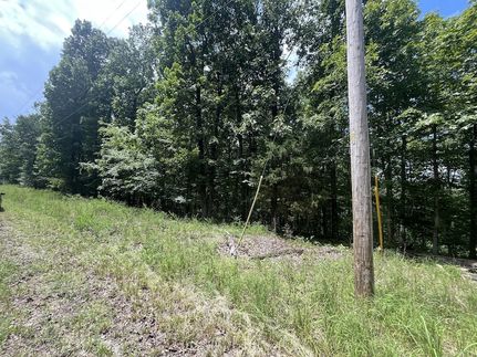 Property for sale in Stewart County, Tennessee