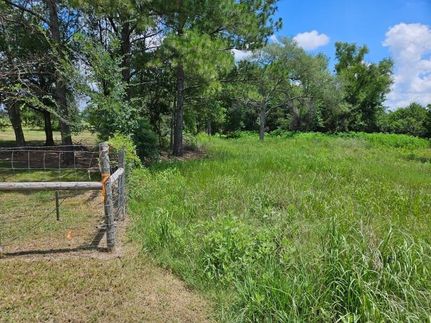Undeveloped Land for sale in Grimes County, Texas