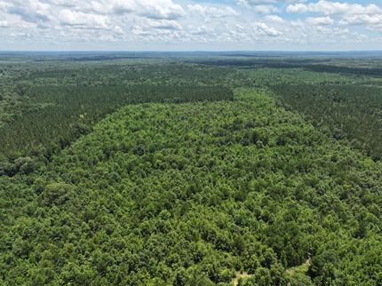 Timberland Property for sale in Harrison County, Texas