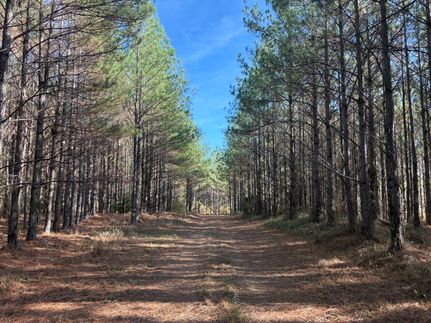 Hunting Land for sale in Quitman County, Georgia