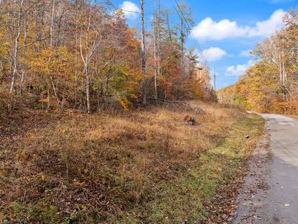 Property for sale in Rowan County, Kentucky