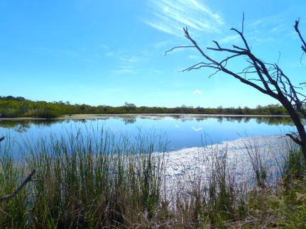 Hunting Land for sale in Coleman County, Texas