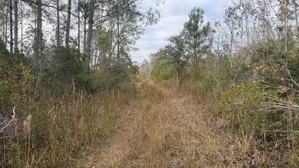 Property for sale in Taylor County, Florida