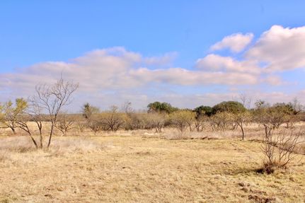Undeveloped Land for sale in Comanche County, Texas