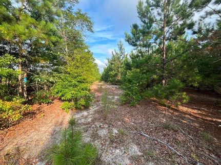 Timberland Property for sale in Aiken County, South Carolina