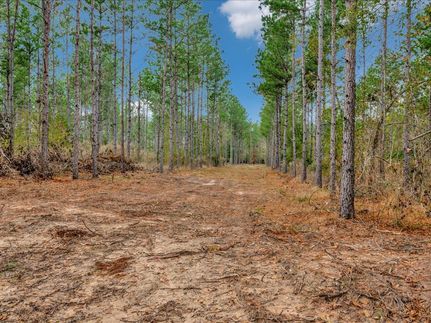 Property for sale in Trinity County, Texas