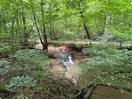 Property for sale in Greene County, Georgia