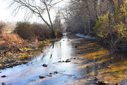 Property for sale in Metcalfe County, Kentucky