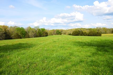 Farm Property for sale in Metcalfe County, Kentucky