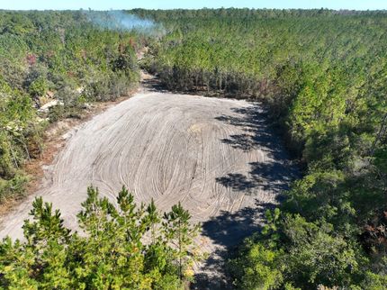 Timberland Property for sale in Brantley County, Georgia