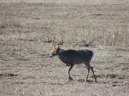 Property for sale in Duval County, Texas