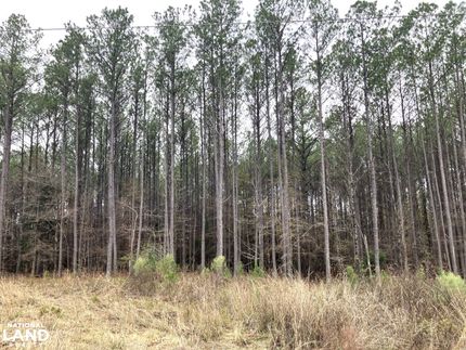 Undeveloped Land for sale in Yalobusha County, Mississippi