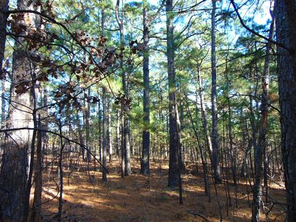 Property for sale in Le Flore County, Oklahoma