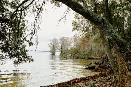 Property for sale in Orangeburg County, South Carolina