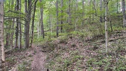 Farm Property for sale in Wayne County, Ohio