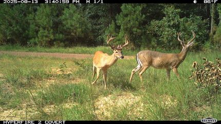 Property in Walker County, Alabama