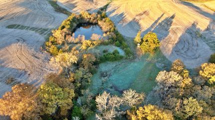 Property for sale in Mercer County, Missouri