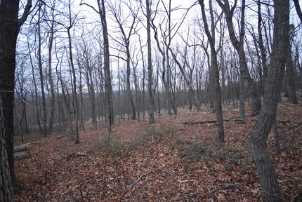 Property for sale in Hampshire County, West Virginia