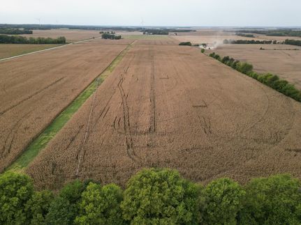 Undeveloped Land for sale in Mason County, Illinois