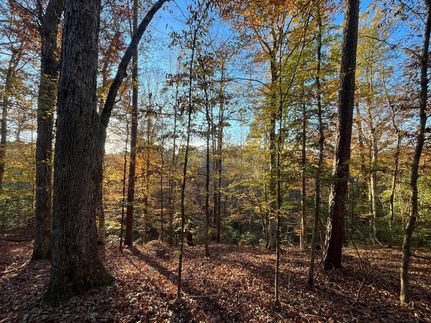 Property for sale in Union Parish, Louisiana