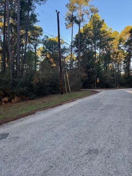 Undeveloped Land for sale in Bastrop County, Texas