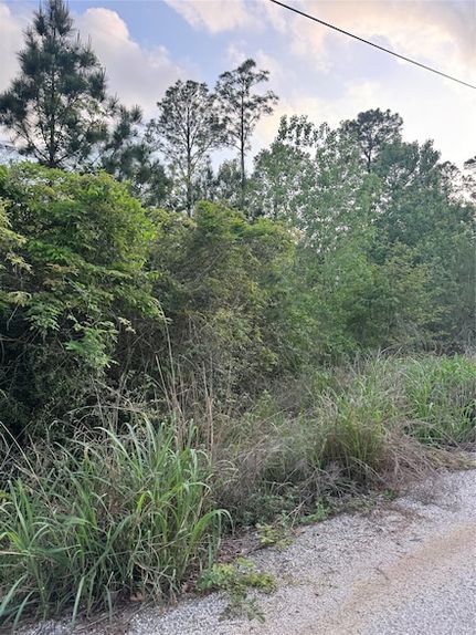 Property for sale in Bastrop County, Texas