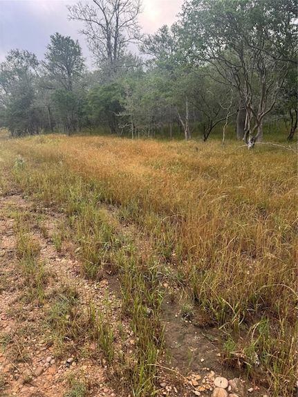 Undeveloped Land for sale in Bastrop County, Texas