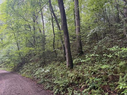 Undeveloped Land for sale in Macon County, North Carolina