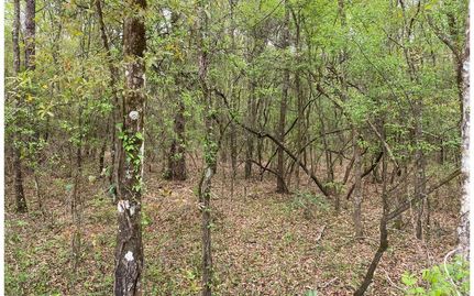 Property for sale in Lafayette County, Florida