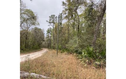 Property for sale in Lafayette County, Florida