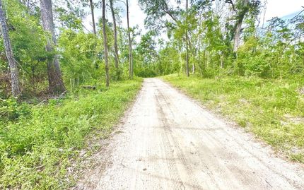 Property for sale in Lafayette County, Florida