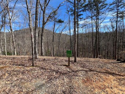 Undeveloped Land for sale in Cherokee County, North Carolina