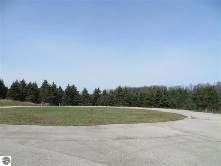 Undeveloped Land for sale in Kalkaska County, Michigan