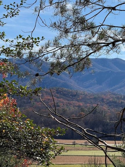 Undeveloped Land for sale in Cherokee County, North Carolina