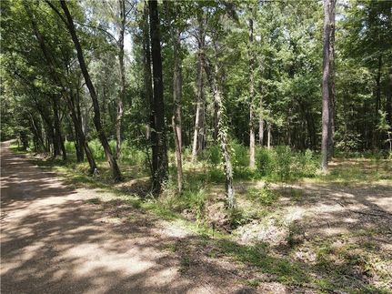 Undeveloped Land for sale in Avoyelles Parish, Louisiana