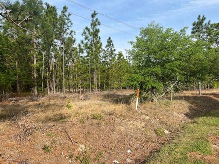 Property for sale in Darlington County, South Carolina