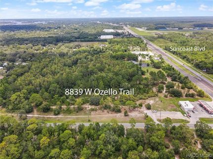 Undeveloped Land for sale in Citrus County, Florida
