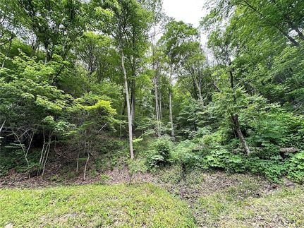 Undeveloped Land for sale in Haywood County, North Carolina