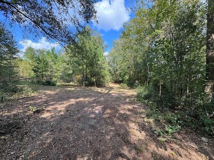 Property for sale in Telfair County, Georgia