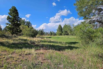 Property for sale in Archuleta County, Colorado