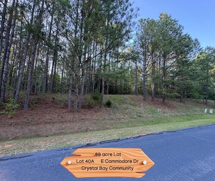 Undeveloped Land for sale in Laurens County, South Carolina