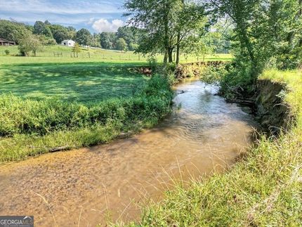 Undeveloped Land for sale in Fannin County, Georgia