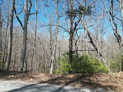 Undeveloped Land for sale in Cumberland County, Tennessee