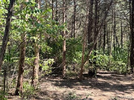 Property for sale in Warren County, Missouri