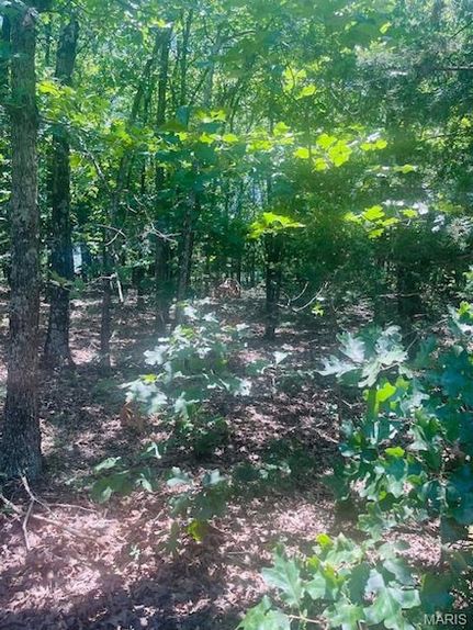 Property for sale in Gasconade County, Missouri